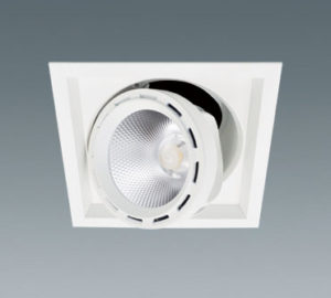 ceiling light casa -LBS3169